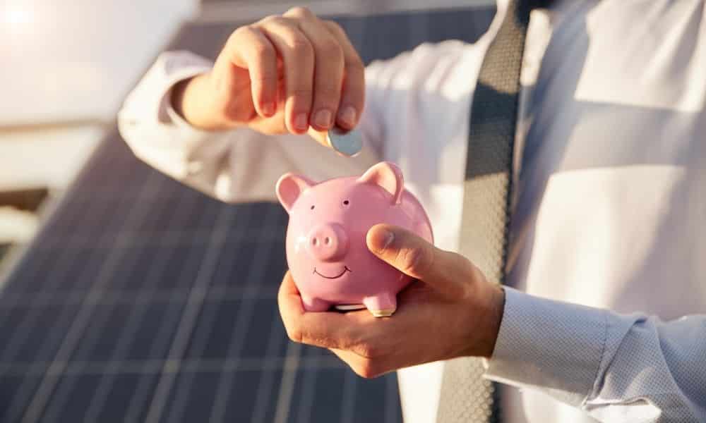 person placing coin into piggy bank