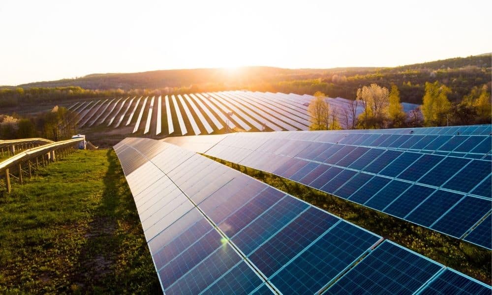 grassy field of solar panels