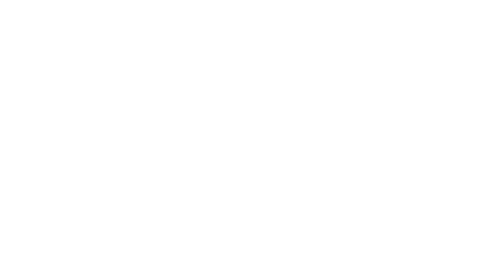 The Mall At Stonecrest White Logo