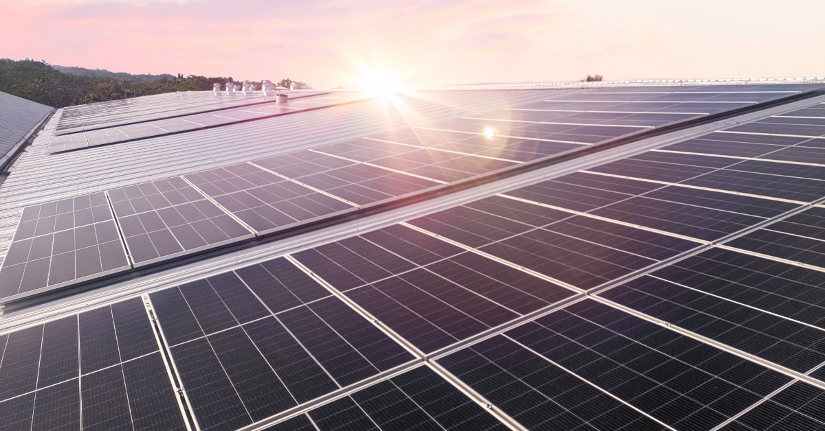 Learn 1 A close-up of multiple rows of large solar panels placed on a large rooftop, with trees and a sunset in the background.