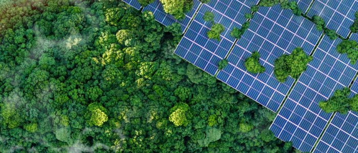 Aerial view of multiple rows of solar panels aligned in a grid pattern, next to a lush forest with numerous trees.