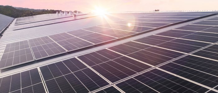 A close-up of multiple rows of large solar panels placed on a large rooftop, with trees and a sunset in the background.