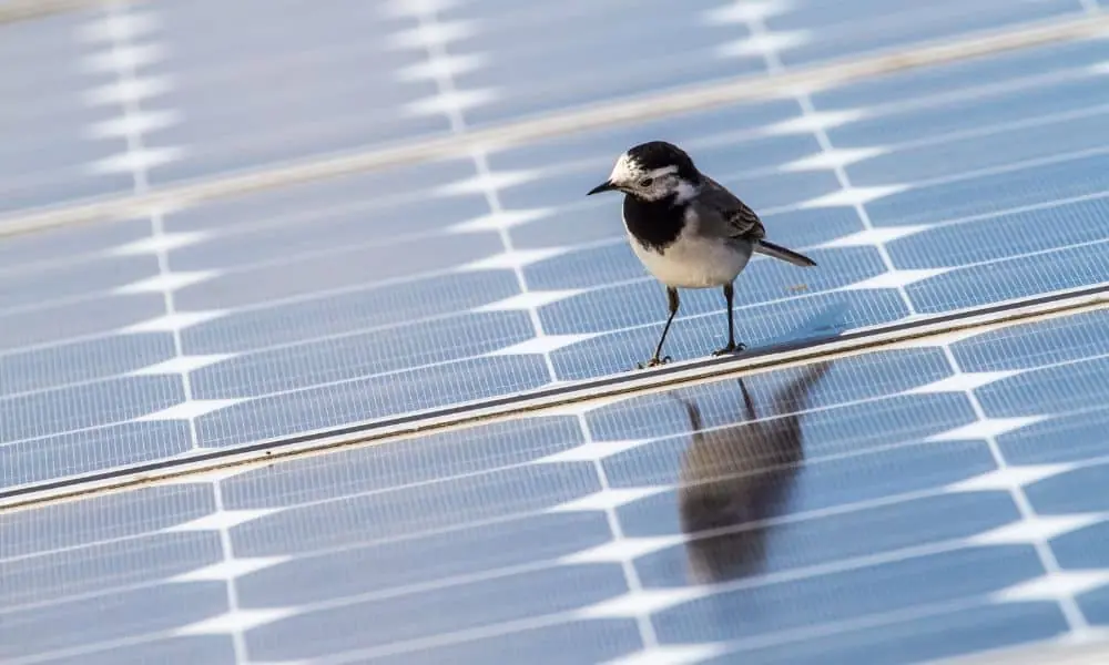 Metal Roofs and Solar Panels: Are They Compatible? 1 energy