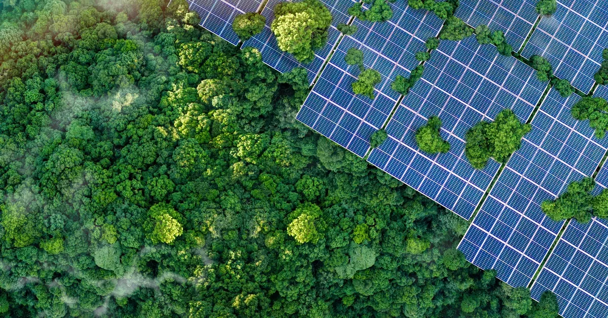 Learn 4 Aerial view of multiple rows of solar panels aligned in a grid pattern, next to a lush forest with numerous trees.