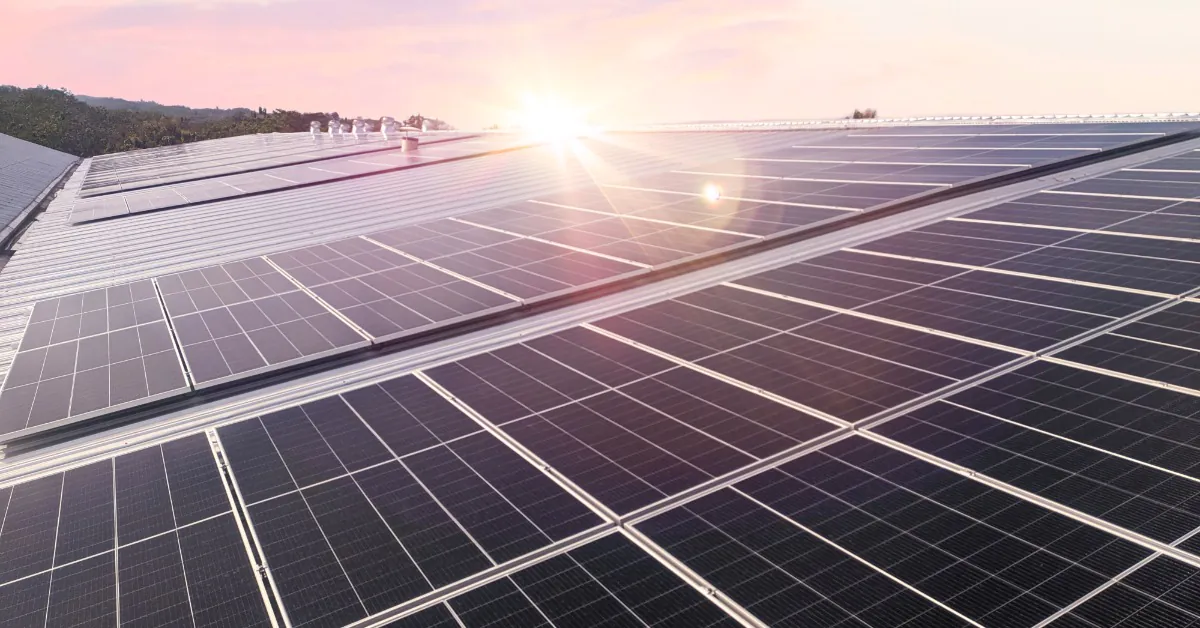Learn 6 A close-up of multiple rows of large solar panels placed on a large rooftop, with trees and a sunset in the background.