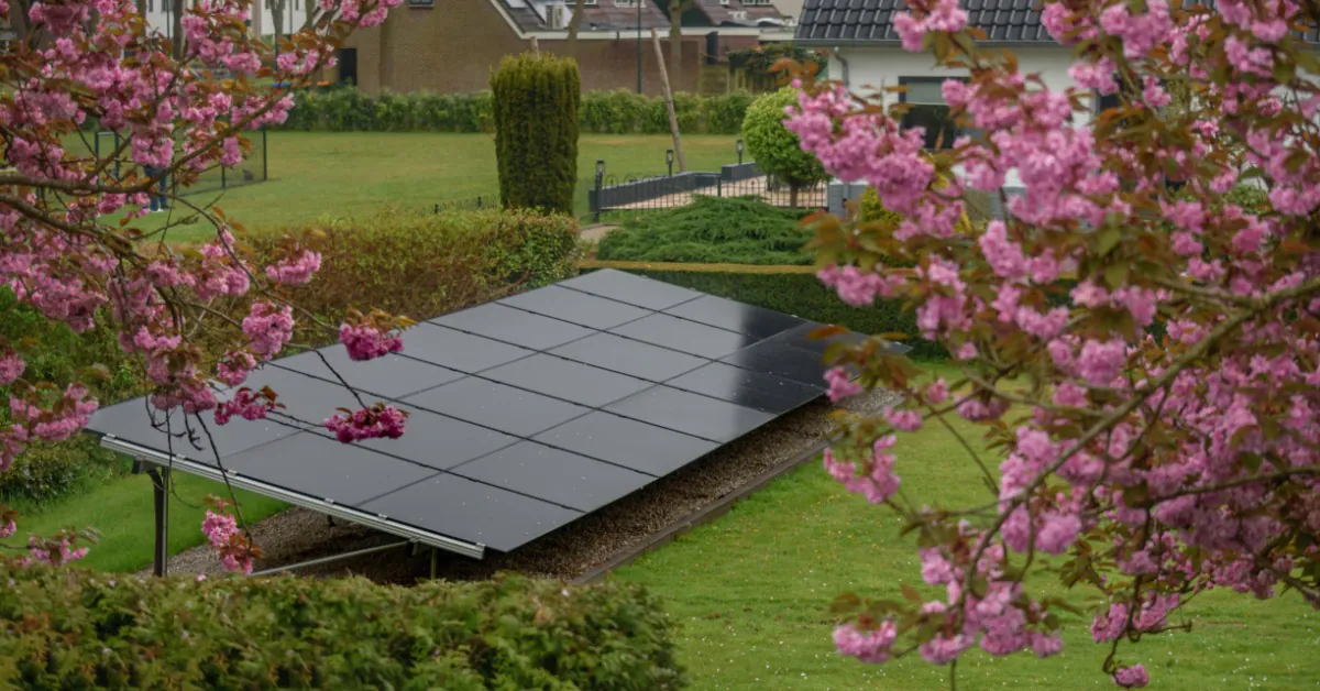 Learn 2 Three rows of solar panels placed over lush grass, surrounded by bushes and cherry blossom trees, next to a house.