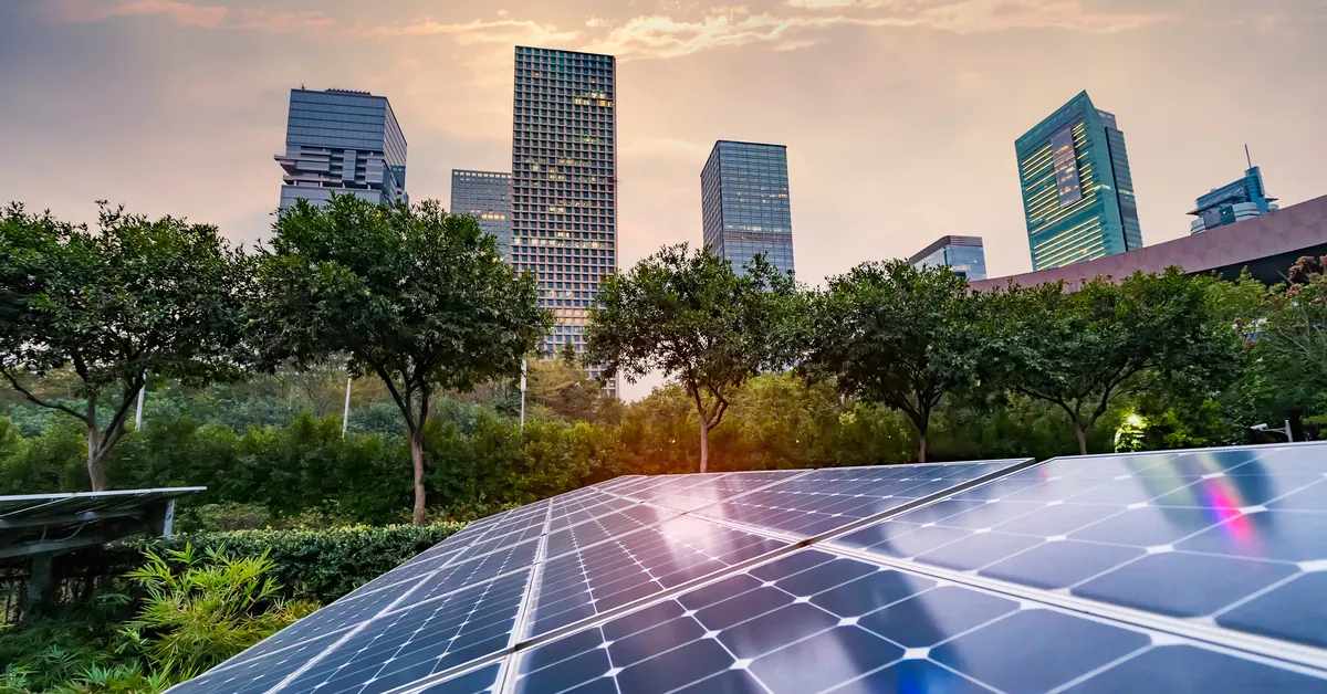 Learn 1 A close-up of a long solar panel next to an area covered in bushes and trees with multiple buildings in the background.