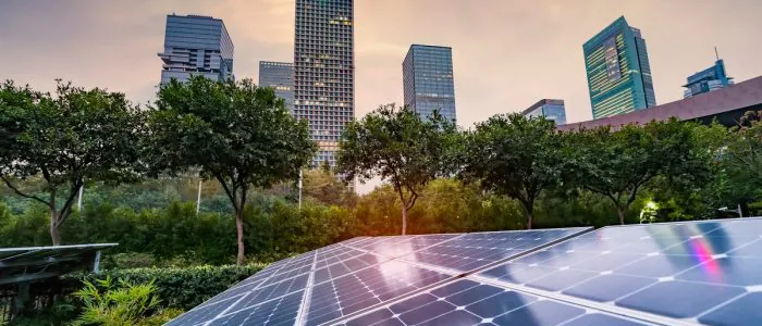 A close-up of a long solar panel next to an area covered in bushes and trees with multiple buildings in the background.