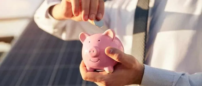 person placing coin into piggy bank