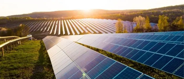 grassy field of solar panels